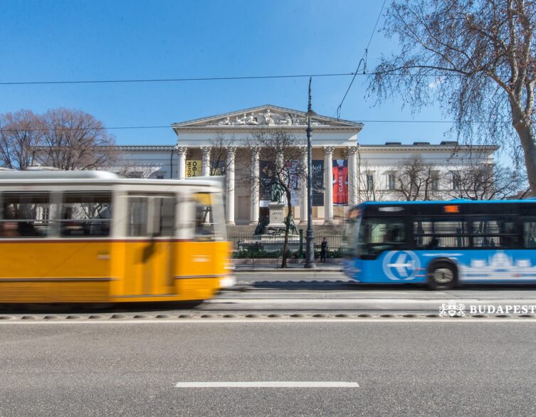 Public Transport Day 2024