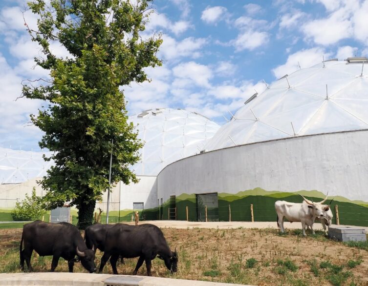 The Biodome Opens in Budapest