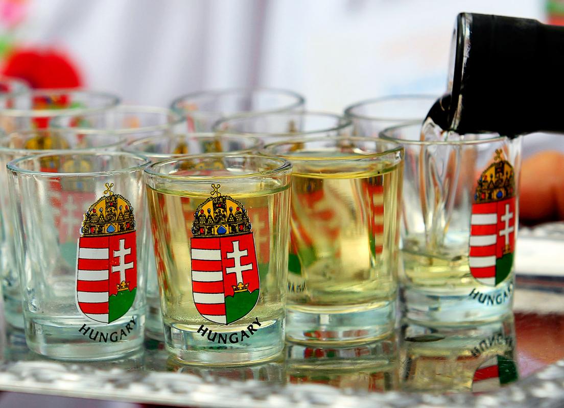 Fired by Tradition: Discovering the Heritage of Hungarian Pálinka