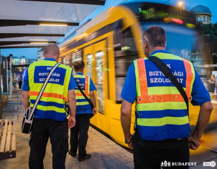 Inspecting the 4-6 tram lines