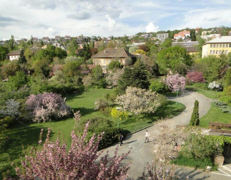 The Arboretum of Buda: A Garden Flourishing All Year Round