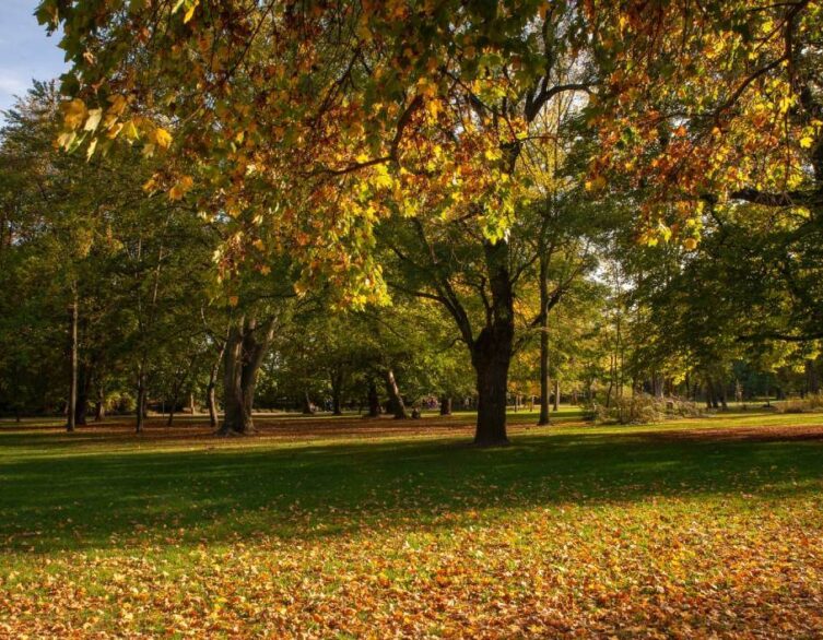 Enjoy A Walk In Budapest This Autumn