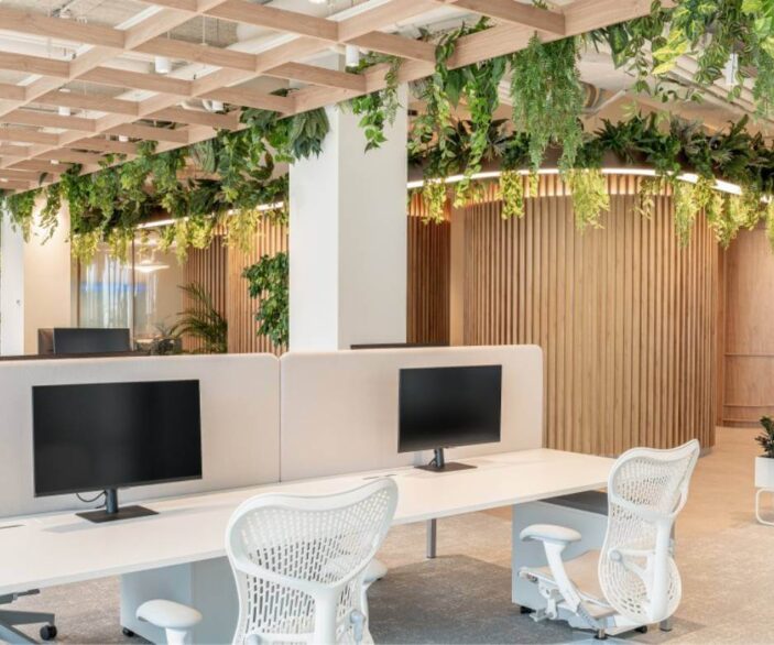 Creating a pleasant office space with plants