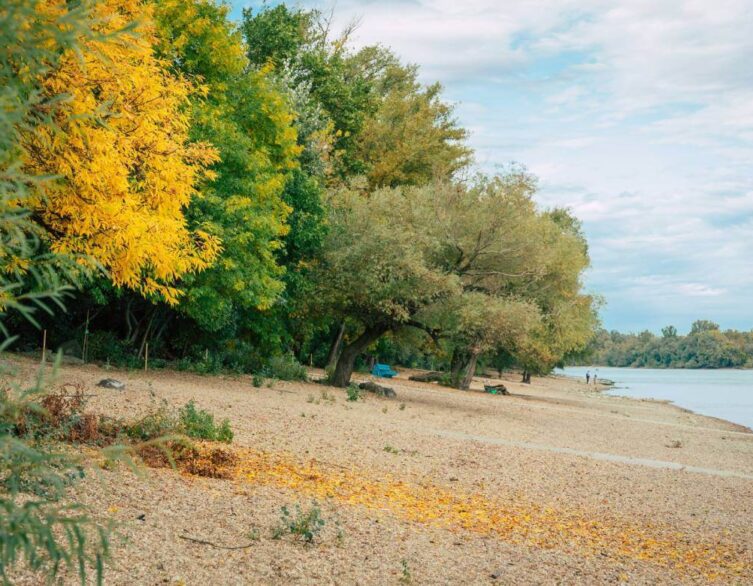 Budapest's Római Beach and Hajógyári Island Reopen After Flood