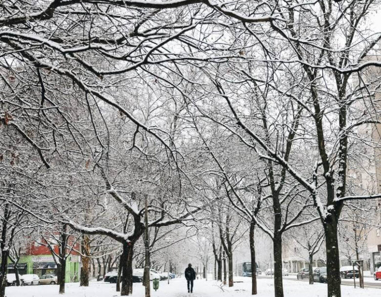 Budapest Woke Up To Unexpected Snowfall