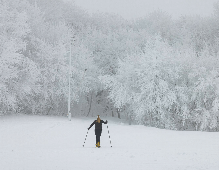 Winter wonderland in Normafa