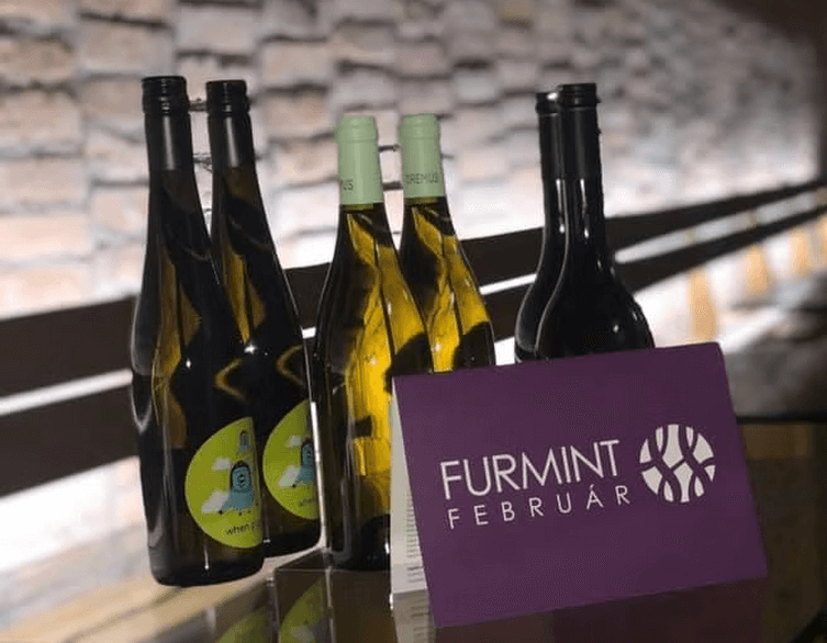 Raise Your Glass to Furmint: Celebrate at the Furmint February Grand Tasting 2025!