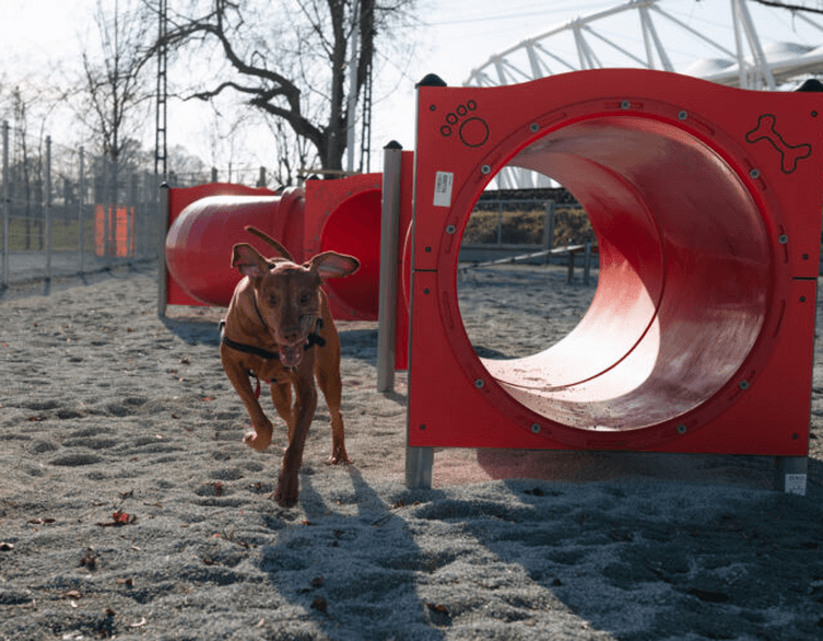 New Dog Park Opens Next to Athletics Stadium in Budapest - Harp Playing Allowed!