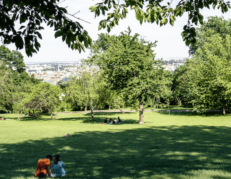 Budapest's Green Revolution: A Path to Climate Neutrality