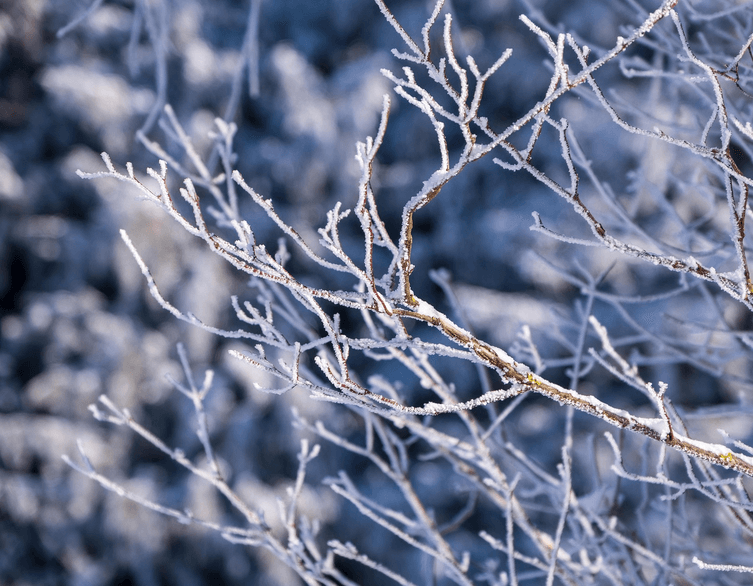 Extreme Cold Warning Issued in Budapest