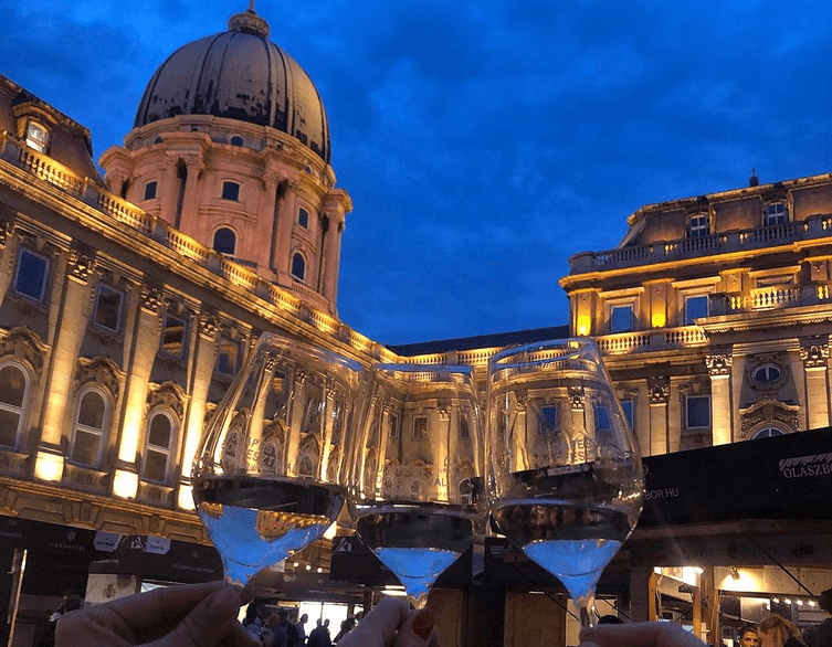 34th Budapest Wine Festival: A Must-Visit Event for Wine Lovers in 2025