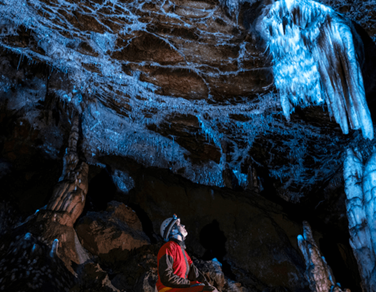 The Hidden Glow of Nature: The Visible Invisible Exhibition at the Hungarian Natural History Museum