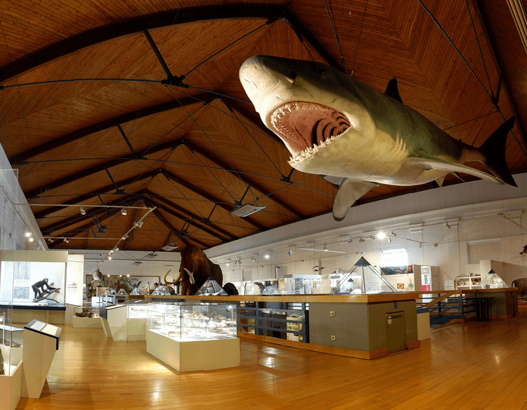 The Diverse LIFE exhibition