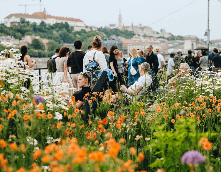 Beat the Heat Like a Local: Your Guide to Staying Cool While Exploring Budapest's Best Outdoor Spots This June