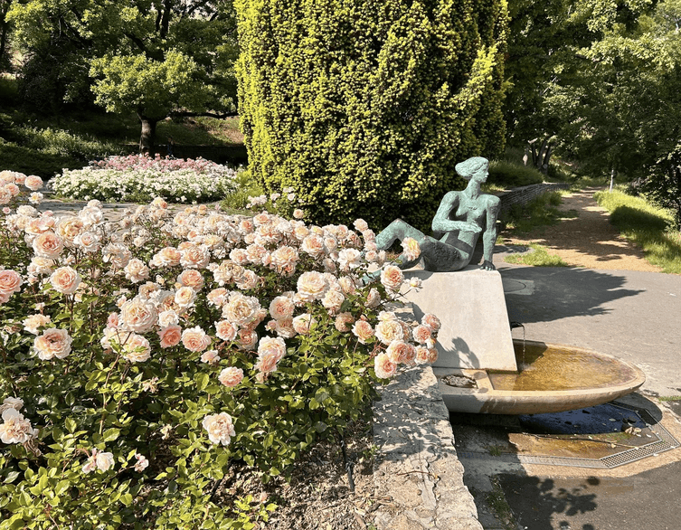 Budapest's Hidden Floral Paradise: A Secret Garden Guide for Savvy Travelers