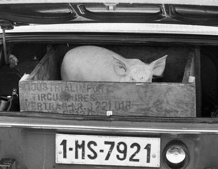 The Tactless Photojournalist: Discover Lajos Erdélyi's Powerful Archive from Ceaușescu's Romania