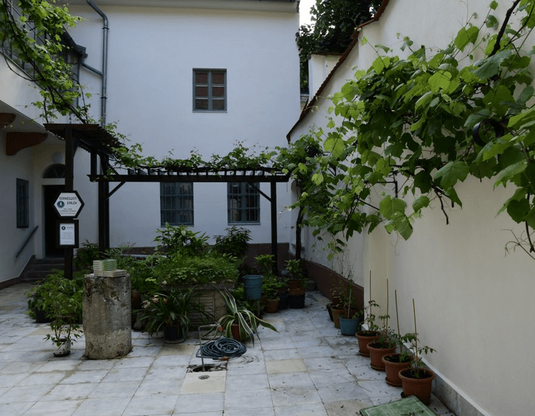 Budapest The Green Paradise: Where Nature And Urban City Life Merge