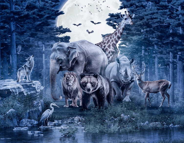 Night at the Zoo 2025: Discover Urban Wildlife at Budapest Zoo's Most Magical Evening