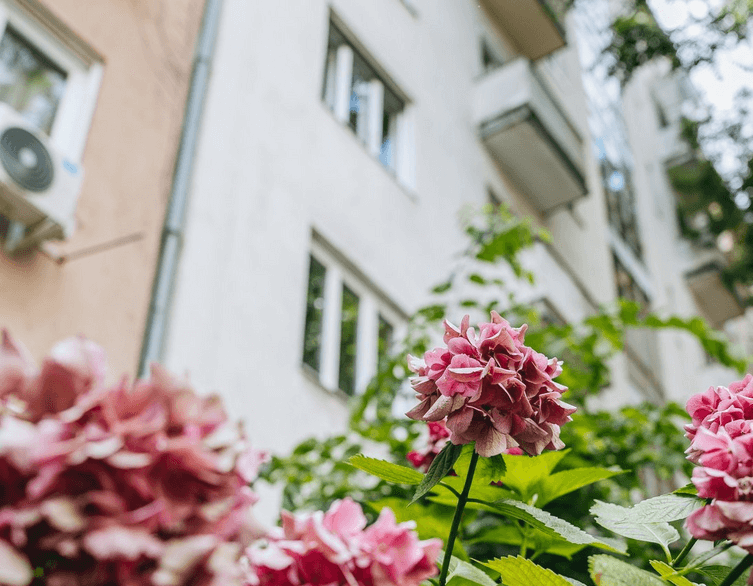 Budapest's Housing Market Boom: What Foreign Tourists Need to Know About Hungary's Property Revolution