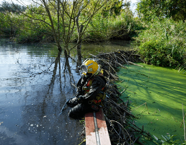 Beaver-Gate: How Budapest's Railway Almost Lost to Three Furry Engineers