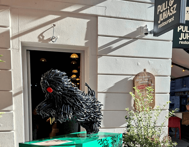 Budapest’s Puli Carnival: Celebrating Heritage and Heart in October 2025