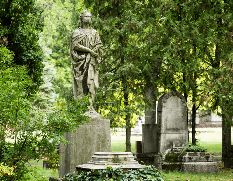Can All Saints' Day Survive in the Heart of Fast-Paced Budapest?