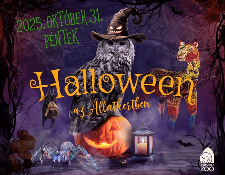 Halloween at Budapest Zoo: A Spooky Night Among the Lanterns