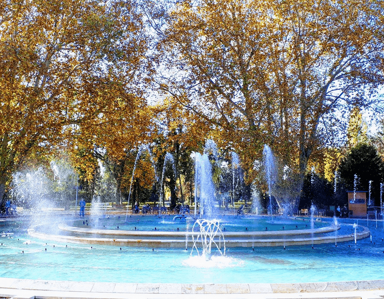 Discovering Margaret Island's Autumn Magic: Budapest's Most Beautiful Fall Escape