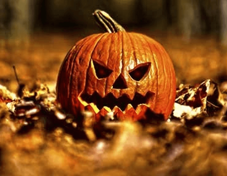 Halloween Fun For All in Budapest, 2025