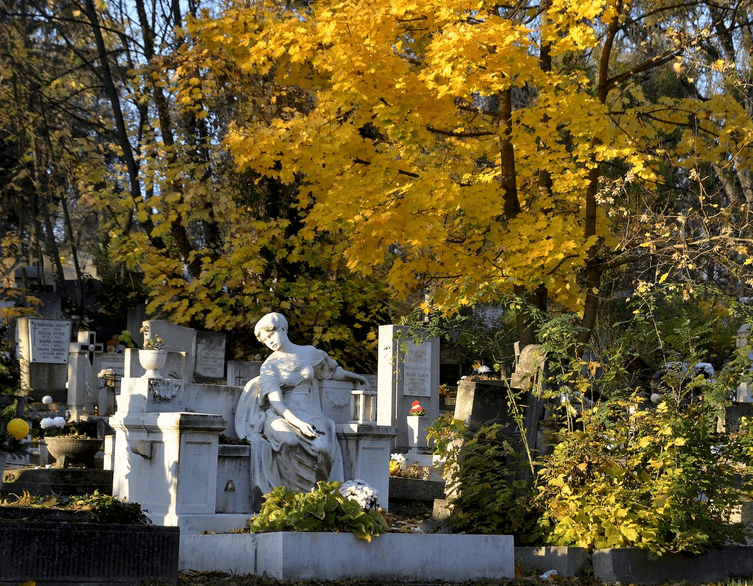 The Rise of Cemetery Tourism: A Haunting New Way to Experience Budapest