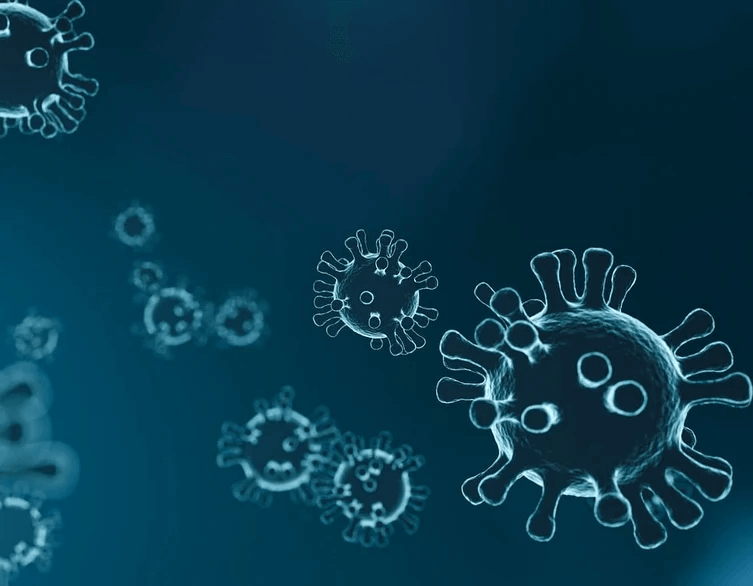 A New Flu Wave and Your Trip to Budapest