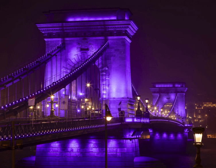 Budapest Lights Up Purple: A Movement for Hungary's Smallest Heroes