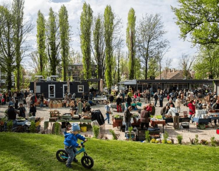 Discover Authentic Hungarian Tradition at Római Part Márton-nap Market