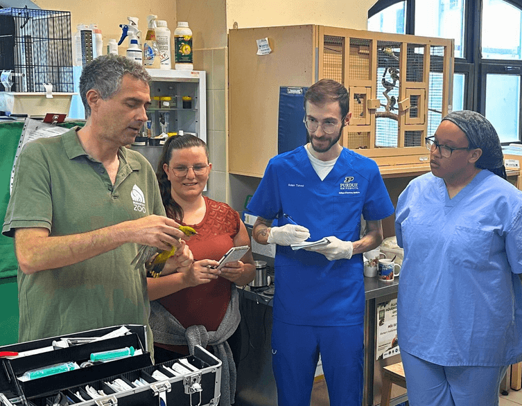 How Budapest Zoo Advances Science (And Why You Should Care)