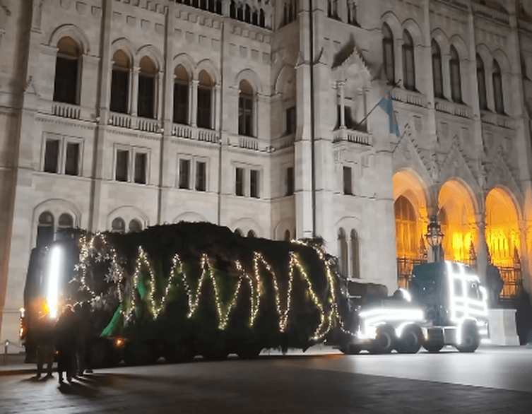 Hungary's Christmas Tree 2025: A Majestic Silver Fir Comes to Budapest's Parliament