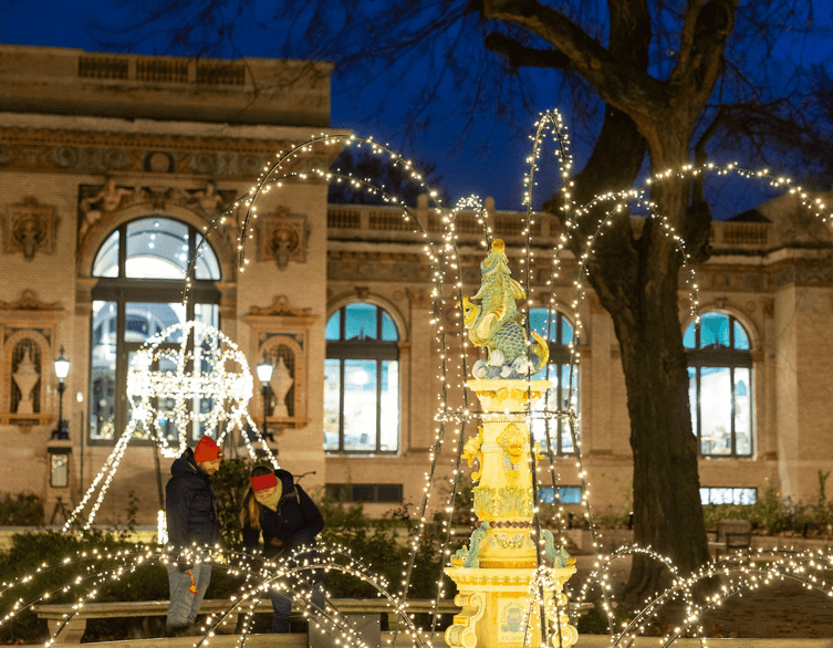 Lights Garden in City Park – Free Winter Wonderland
