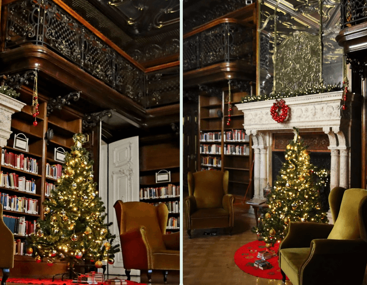 Snap Your Perfect Christmas Selfie in a Budapest Palace Library