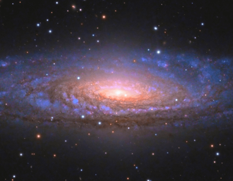 Star-Images 2025 - National Astrophotography Exhibition