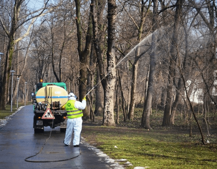 Budapest's Trees Get Spring-Ready – What Tourists Should Know About the Annual Spray