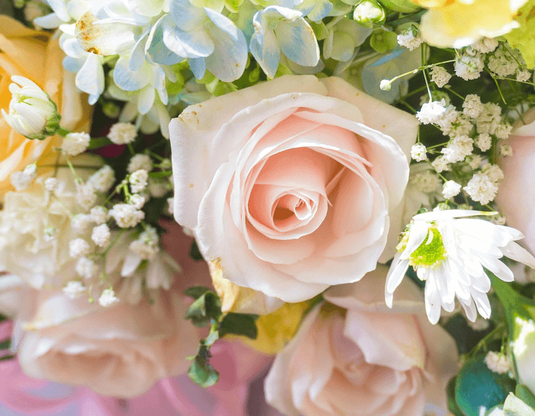 International Women’s Day in Budapest